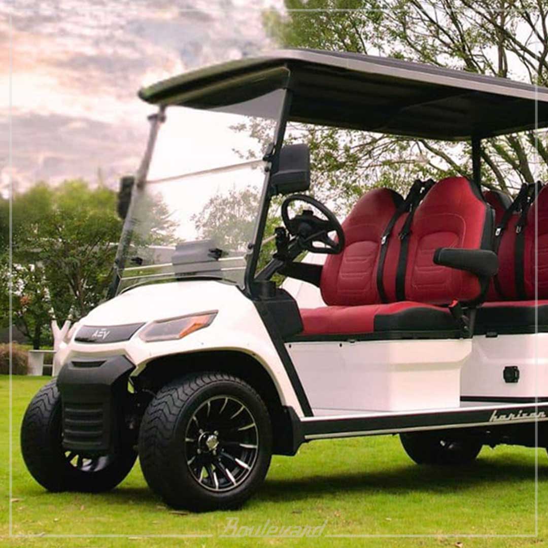 Advanced EV - Horizon Series Golf Cart