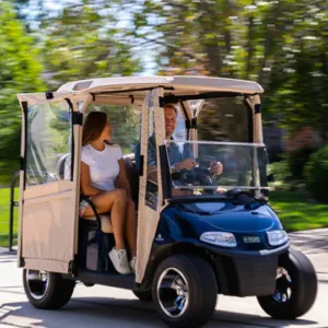 DoorWorks 2 Passenger Hinged Door Enclosure Cover for Golf Carts